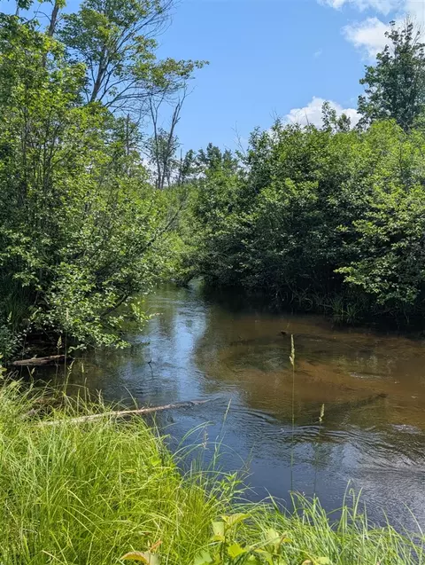 4792 M-37, Baldwin, MI 49304 photo 5