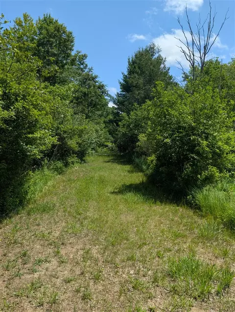 4792 M-37, Baldwin, MI 49304 photo 29