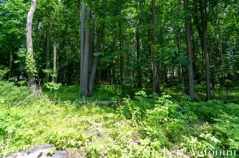 1016 Maple Hl, Ada, MI 49301 photo 6
