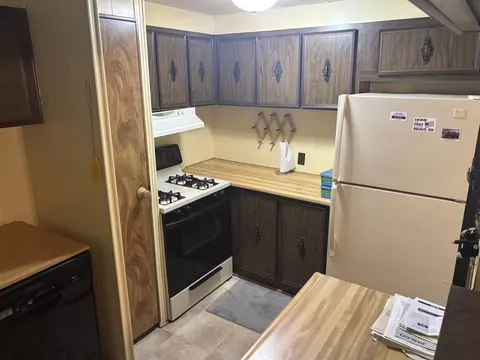 14836 Drummond, Three Rivers, MI 49093 photo 10