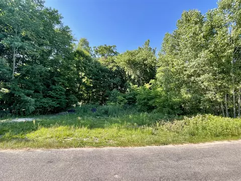 V/l E Shore, Stanton, MI 48888