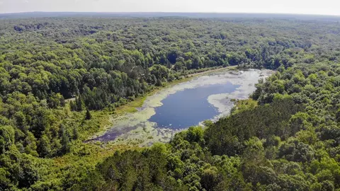 V/l Jackson, Lake, MI 48632