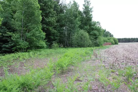 605 S Cook, Harrison, MI 48625 photo 37