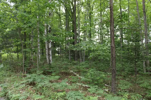 605 S Cook, Harrison, MI 48625 photo 33