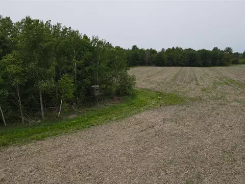 605 S Cook, Harrison, MI 48625 photo 22