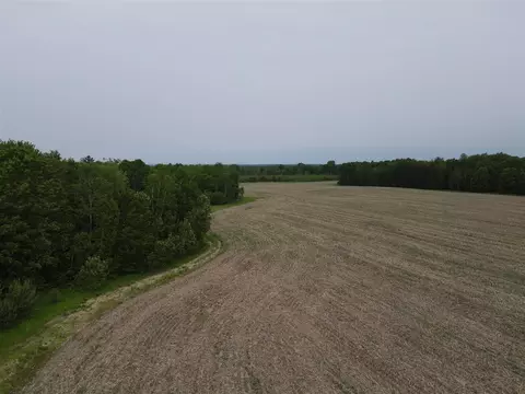 605 S Cook, Harrison, MI 48625 photo 3