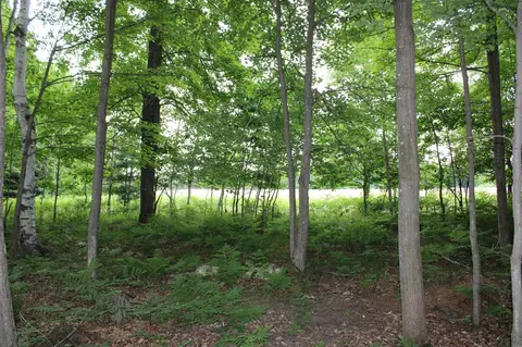605 S Cook, Harrison, MI 48625 photo 35