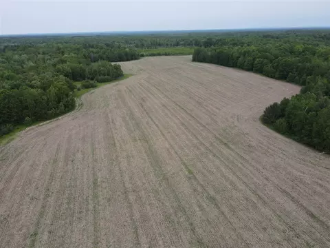 605 S Cook, Harrison, MI 48625 photo 21