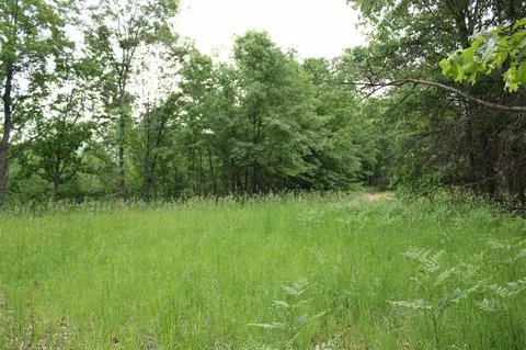 605 S Cook, Harrison, MI 48625 photo 34