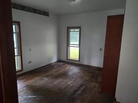 203 E Home, Edmore, MI 48829 photo 4