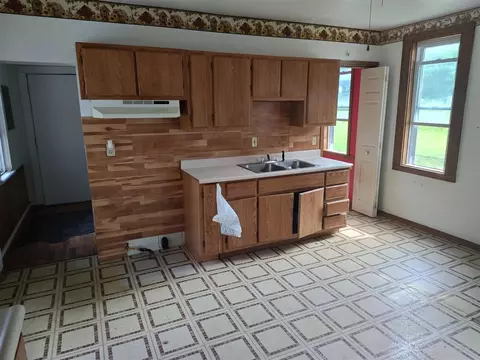 203 E Home, Edmore, MI 48829 photo 6