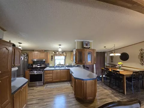 Kitchen - 274 Pioneer, Mendon, MI 49072 photo 3 of 4
