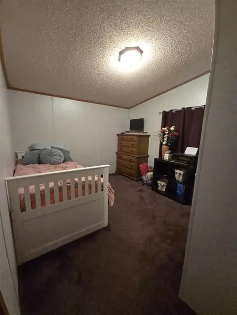 Other - 274 Pioneer, Mendon, MI 49072 photo 6 of 11