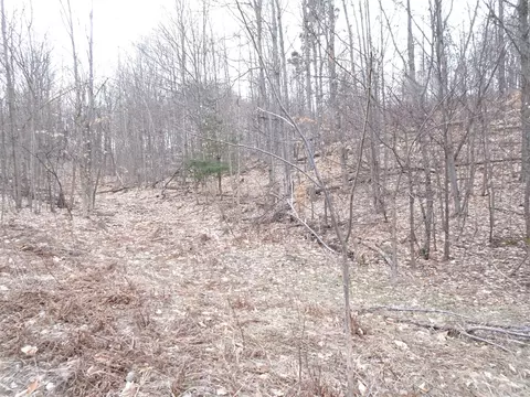 Chief ''m'', Bear Lake, MI 49614