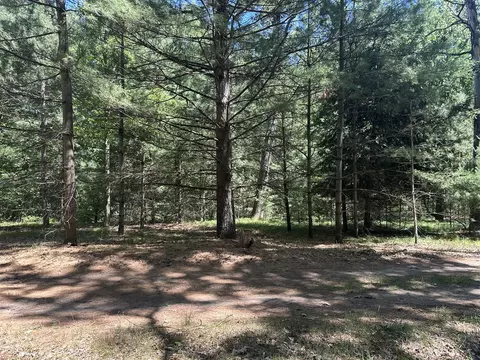00 Hill Crst, Baldwin, MI 49304 photo 3
