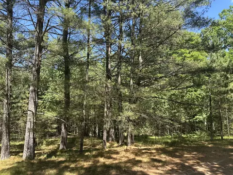 00 Hill Crst, Baldwin, MI 49304 photo 6