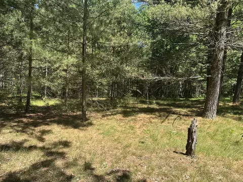 00 Hill Crst, Baldwin, MI 49304 photo 5