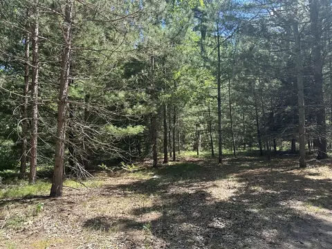 00 Hill Crst, Baldwin, MI 49304 photo 2