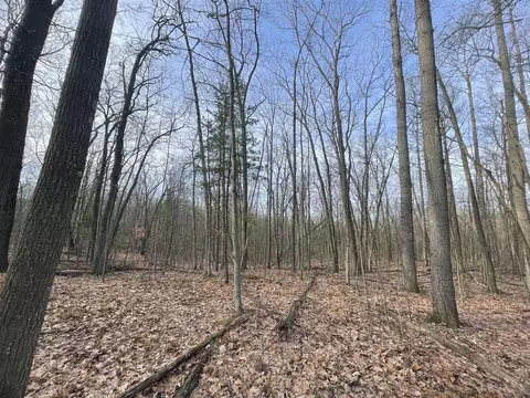 7780 N Harrison, Harrison, MI 48625 photo 8