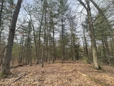 7780 N Harrison, Harrison, MI 48625 photo 16