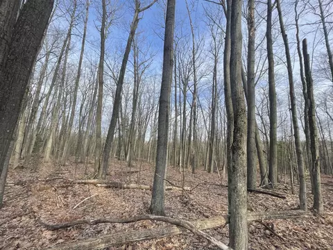 7780 N Harrison, Harrison, MI 48625 photo 9