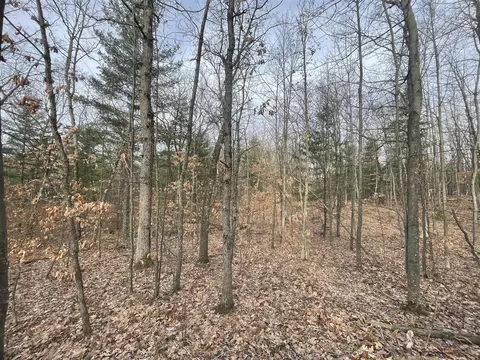 7780 N Harrison, Harrison, MI 48625 photo 11