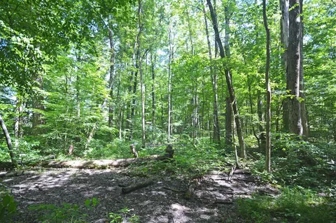 52251 17th, Grand Junction, MI 49056