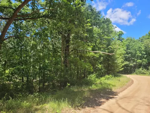 Vl Round Lake, Fennville, MI 49408