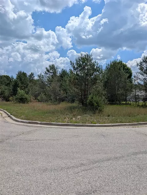 1120 N Cherry, Evart, MI 49631