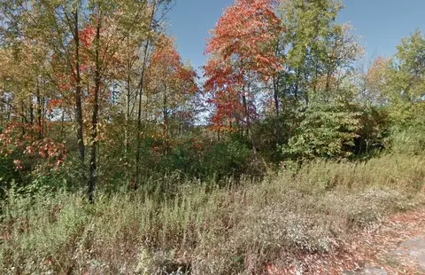 0 Forest Shrs #22, Cassopolis, MI 49031 photo 3