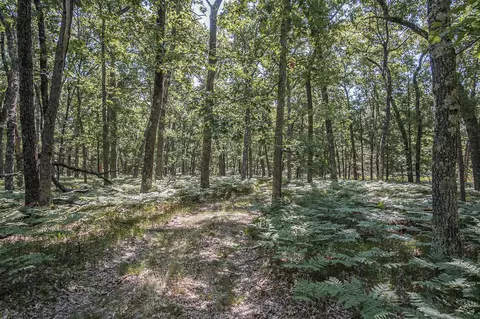 V/l S Star Lake Road, Baldwin, MI 49304