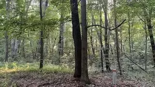 romeyn woods LOT 2, Middleville, MI 49333