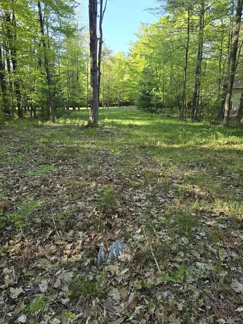 lot5 N 14 N Rdg, Mears, MI 49436
