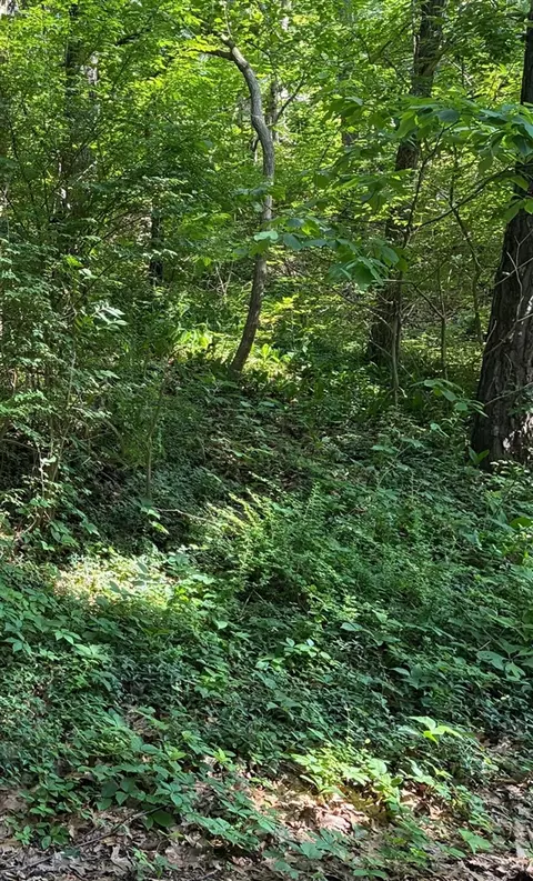 6 Lilac, Update, MI 49117