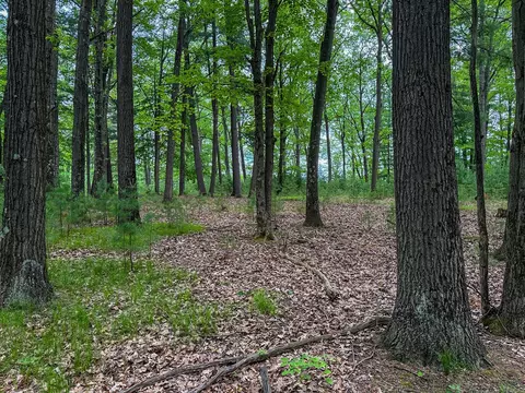 5696 E Winter, Walkerville, MI 49459 photo 37