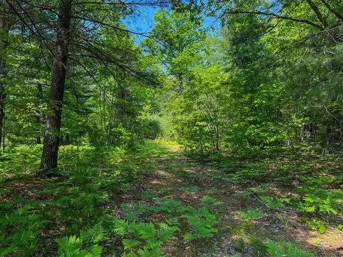 5696 E Winter, Walkerville, MI 49459 photo 15