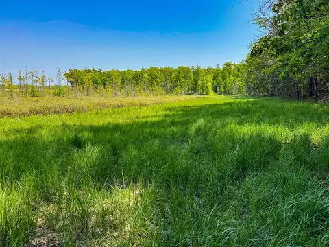 5696 E Winter, Walkerville, MI 49459 photo 17