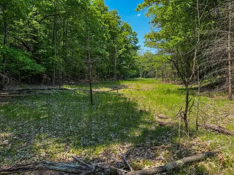 5696 E Winter, Walkerville, MI 49459 photo 16