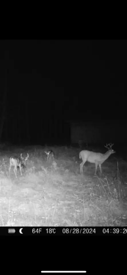 Other - 6059 E Stonington Aa5, Rapid River, MI 49878 photo 8 of 8