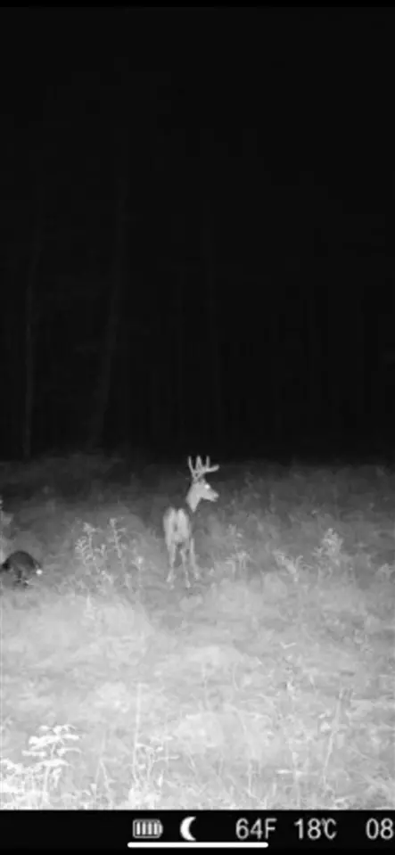 Other - 6059 E Stonington Aa5, Rapid River, MI 49878 photo 7 of 8