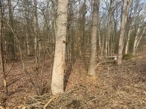 0 E Meinert, Holton, MI 49425 photo 7