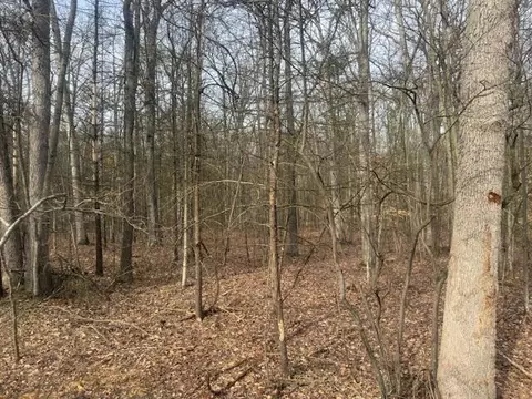 0 E Meinert, Holton, MI 49425 photo 3