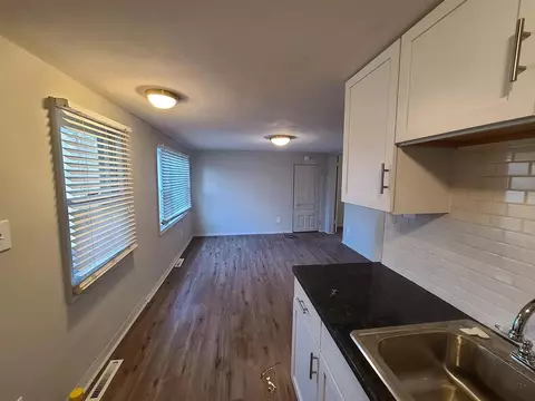 101 E Mckay, Saline, MI 48176 photo 6