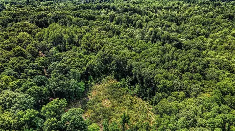 0 Wisner, White Cloud, MI 49349 photo 4
