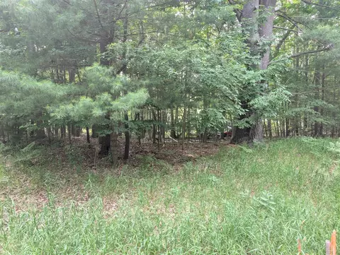 V/l Tamarack, Ludington, MI 49431