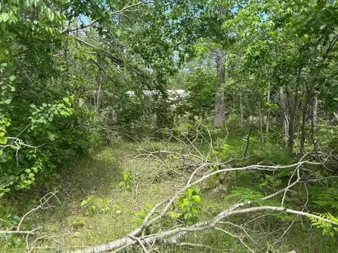 2040 Hill, Lewiston, MI 49756