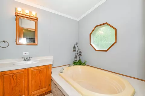 31375 Brandywine, Gobles, MI 49055 photo 22