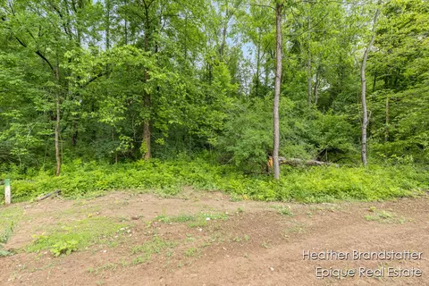 6225 Wilden Rdg, Ada, MI 49301 photo 4