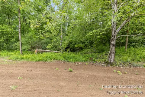 6225 Wilden Rdg, Ada, MI 49301 photo 3