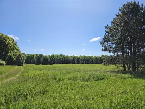 9250 E Mannsiding, Clare, MI 48617